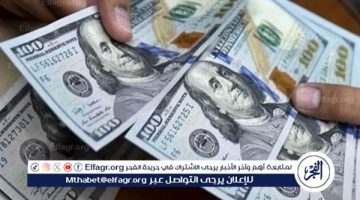 استقرار في السوق المصرفية المحلية