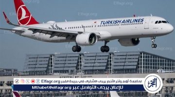 الخطوط الجوية التركية ترد على تقارير انتشار “بق الفراش” على متن طائراتها