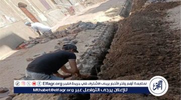 توصيل 35874 خط انترنت لقرى حياة كريمة فى أسيوط خلال 2024