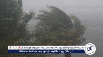 توقعات الطقس في مصر اليوم الخميس 2 يناير 2025: درجات الحرارة وتحذيرات الأرصاد
