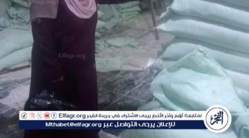 ضبط أكثر من 5 طن ملح ومنتجات وسلع متنوعة وتحرير 300 مخالفة