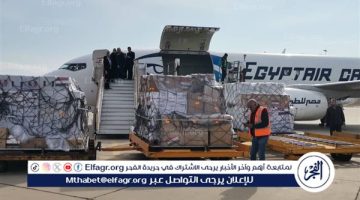 عاجل.. وصول طائرة مساعدات مصرية إلى دمشق