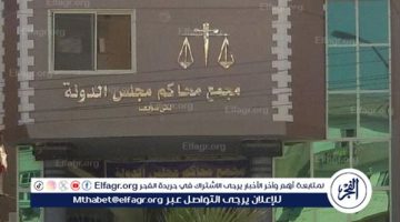 محكمة بني سويف التأديبية تعاقب موظفين بسبب التراخي في إزالة مخالفات البناء