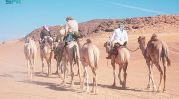 رحَّالة بريطانيون على ظهور الإبل 500 كم