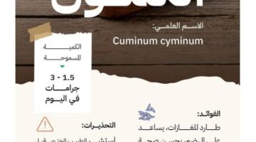 “الغذاء والدواء” : فوائد الكمّون لا تُغني عن الاستشارة الطبية