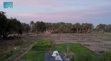 أهالي العُلا بين عشق المزارع وأجواء رمضان العائلية