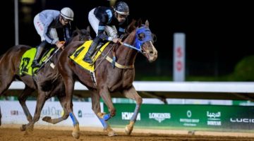 نادي سباقات الخيل يختتم أشواط الرياض بكأس ميدان الملك عبدالعزيز