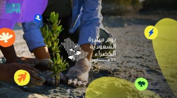 يوم مبادرة السعودية الخضراء.. وعيٌ ينمو ومستقبل يزدهر