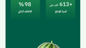 البطيخ يزيّن موائد رمضان بإنتاج يتجاوز (613) ألف طن ونسبة الاكتفاء الذاتي (98%)