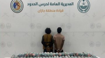 القبض على مخالفين لتهريبهما (90) كجم من القات بـ”الدائر”