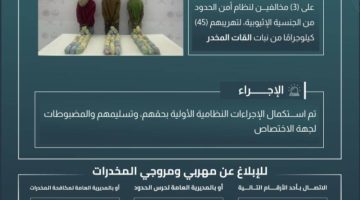 حرس الحدود بعسير يقبض على (3) مخالفين لتهريبهم (45) كيلوجرامًا من القات المخدر