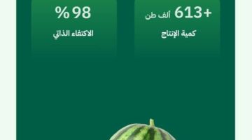 %98 نسبة الاكتفاء الذاتي من البطيخ