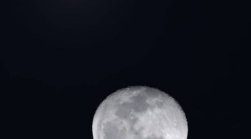 اليوم.. أحدب رمضان يقترن بالسماك الأعزل