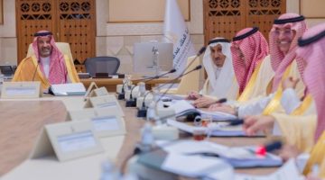برئاسة فيصل بن سلمان .. مجلس «الدارة»: نقلة نوعية في التحولات المؤسسية