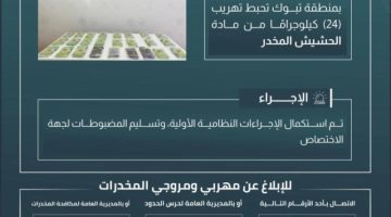 حرس الحدود في تبوك يحبط تهريب 24 كيلوجرامًا من مادة الحشيش المخدر