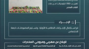 حرس الحدود بجازان يحبط تهريب 180 كيلوجرامًا من نبات القات المخدر