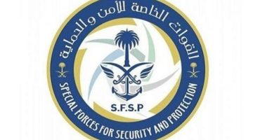 ضبط مخالف لنظام البيئة نقل حطبًا محليًا بمنطقة تبوك