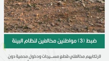 الأمن البيئي يضبط (3) مخالفين لارتكابهم مخالفتي قطع مسيجات ودخول محمية دون ترخيص