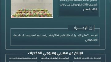 حرس الحدود بجازان يحبط تهريب 252 كيلوجرامًا من نبات القات المخدر