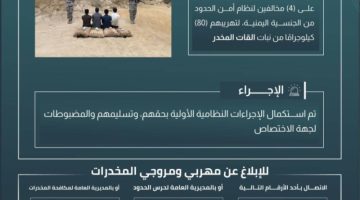 حرس الحدود بجازان يقبض على 4 مخالفين لنظام أمن الحدود لتهريبهم 80 كيلوجرامًا من نبات القات المخدر