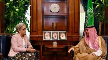 وزير الدولة للشؤون الخارجية يستقبل سفيرة مملكة السويد لدى المملكة