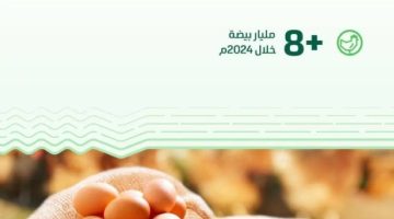 “البيئة”: إنتاج المملكة من بيض المائدة يتجاوز 8 مليارات بيضة خلال 2024