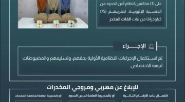 حرس الحدود بعسير يقبض على (3) مخالفين لتهريبهم (75) كيلوجرامًا من القات المخدر