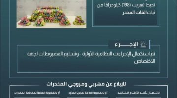 حرس الحدود بعسير يحبط تهريب (198) كيلوجرامًا من القات المخدر