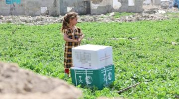 “سلمان للإغاثة” يوزّع سلالًا غذائية في منطقة السيدة زينب