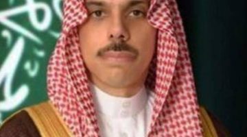وزير الخارجية ونظيره الإيراني يبحثان تطورات الأوضاع في المنطقة