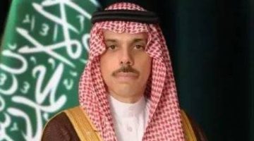 وزير الخارجية يصل القاهرة لترؤس اجتماع اللجنة الوزارية بشأن غزة