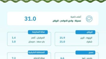 “البيئة”: وادي الدواسر بالرياض تُسجّل أعلى كمية هطول أمطار بـ 31.0 ملم ضمن 8 مناطق رصدتها 83 محطة