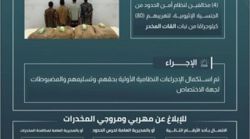 حرس الحدود بجازان يقبض على 4 مخالفين لنظام أمن الحدود لتهريبهم 80 كيلوجرامًا من نبات القات المخدر
