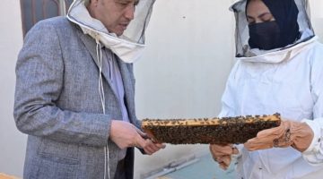 تأهيل 11 شابًا وشابة من أبناء المدينة المنورة في مهنة تربية النحل