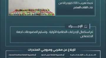 حرس الحدود بجازان يقبض على مخالف لتهريبه 120 كيلوجرامًا من القات المخدر