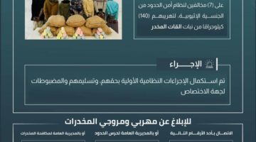 حرس الحدود بعسير يقبض على 7 مخالفين لتهريبهم 140 كيلوجرامًا من القات المخدر