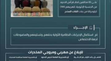 حرس الحدود بعسير يقبض على 8 مخالفين لنظام أمن الحدود لتهريبهم 144 كيلوجرامًا من نبات القات المخدر
