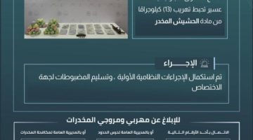 حرس الحدود بعسير يحبط تهريب 13 كيلوجرامًا من الحشيش المخدر