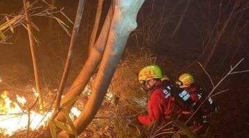 حرائق الغابات في كوريا الجنوبية تودي بحياة 56 شخصًا ونزوح الآلاف