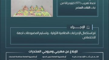 حرس الحدود بجازان يحبط تهريب 177 كيلوجرامًا من القات المخدر