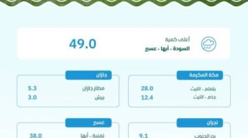 “البيئة”: عسير تتصدر (6) مناطق شهدت هطول أمطار بتسجيل (49) ملم في السودة