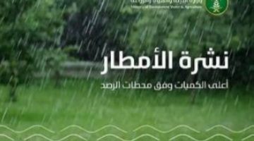 هطول أمطار في (8) مناطق والجوف تسجّل أعلى كمية بـ (17.8) ملم في الشقيق بدومة الجندل