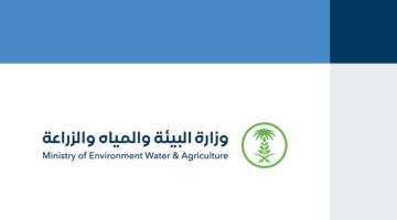 بيئة الجوف ترصد 67 مخالفة على أسواق النفع العام خلال شهر رمضان
