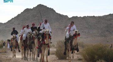 «الهجَّانة» يحيون تقاليد العيد في بادية تبوك على أنغام الهجيني