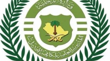 القبض على شخص روّج مادة الإمفيتامين بالجوف