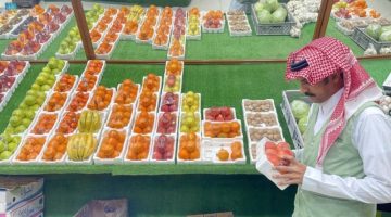“بيئة نجران” تنفذ (2146) جولة رقابية على أسواق النفع العام والمسالخ