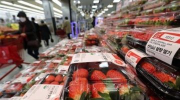 ارتفاع صادرات كوريا الجنوبية من المنتجات الزراعية والغذائية في الربع الأول 2025
