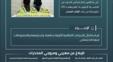 حرس الحدود بعسير يقبض على مخالِفَيْن لتهريبهما (25) كيلوجرامًا من القات المخدر