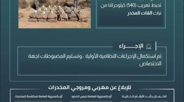 حرس الحدود بمنطقة عسير يحبط تهريب (540) كيلوجرامًا من نبات القات المخدر