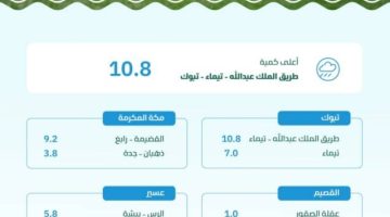 “البيئة” ترصد هطول أمطار في (8) مناطق وتبوك الأعلى كميةً بـ (10.8) ملمترات في محافظة تيماء